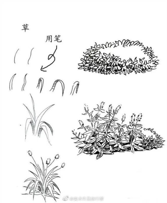 一步步教你画草木|石头|针管笔|速写