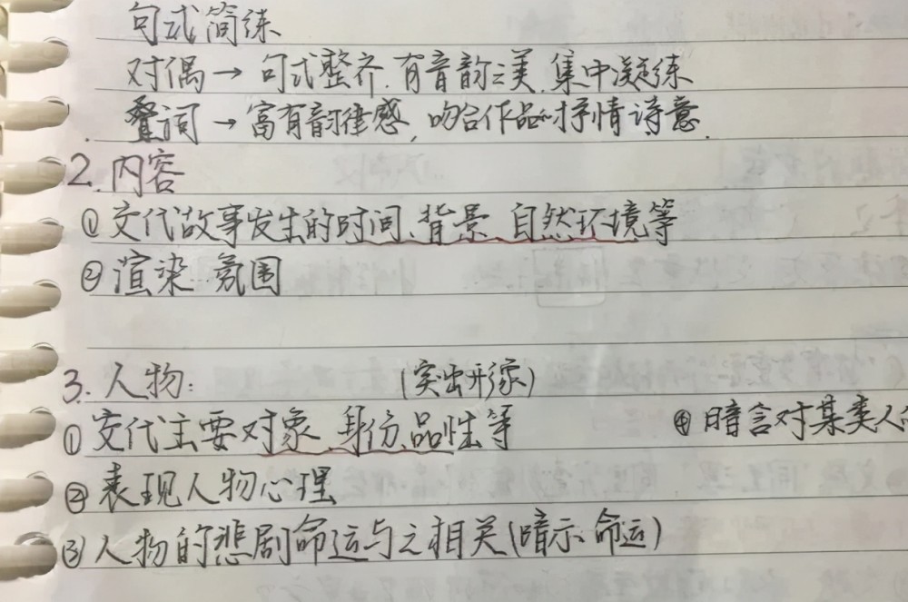 通过她分享的笔记,我们可以看出,146分靠的不是超常发挥,而是日积月累