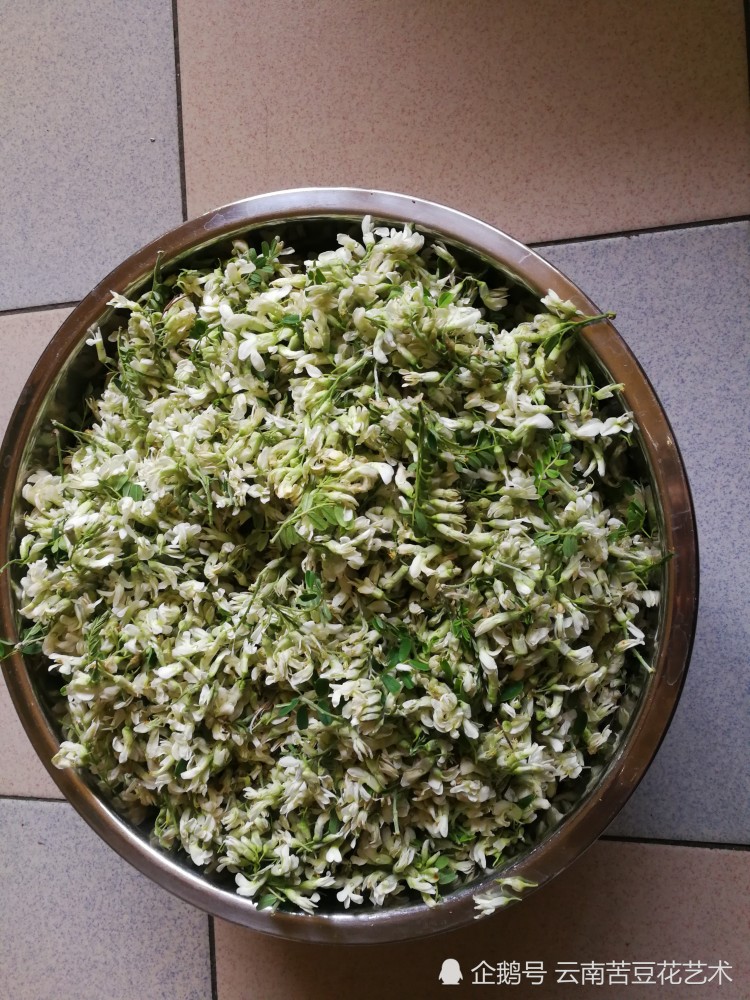 流金岁月的歌,苦豆花的春天