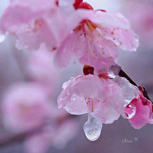 适合在下雨天发的唯美说说,美到让人心醉!