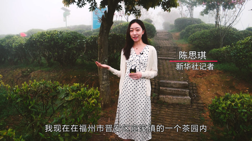 海滨之歌长笛曲谱(2)
