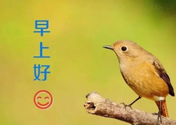 周一早安!