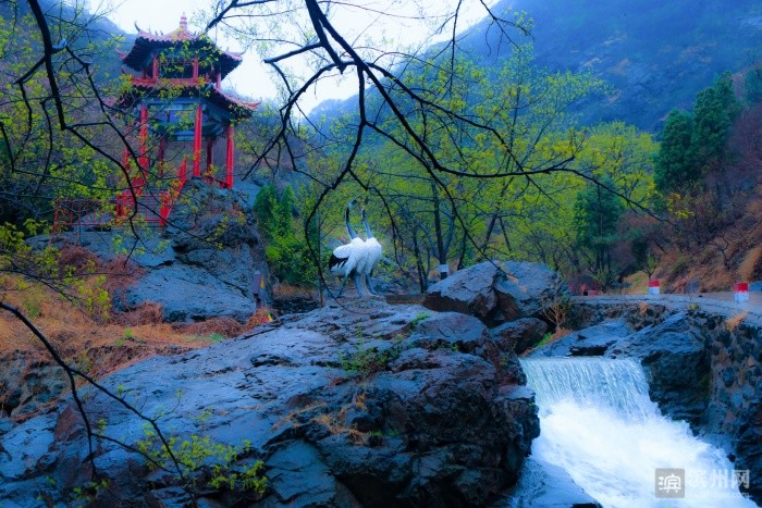 邹平:春雨浸润鹤伴山