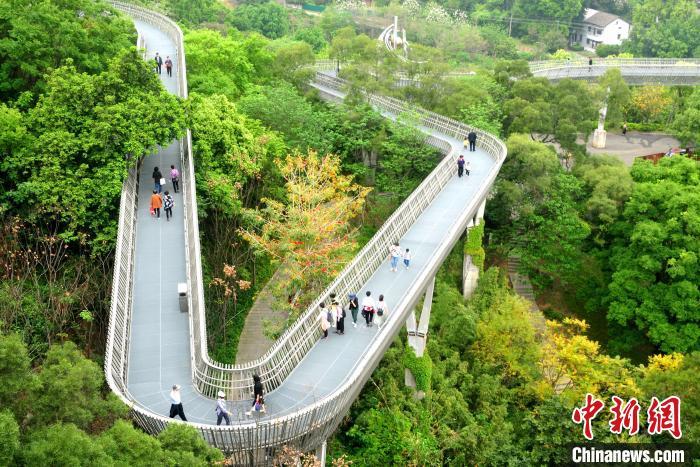 图为4月2日,民众在福州城市空中绿道"福道"游玩.