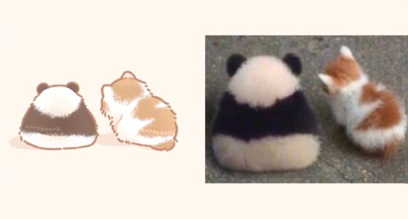 猫咪和熊猫的背影太可爱了