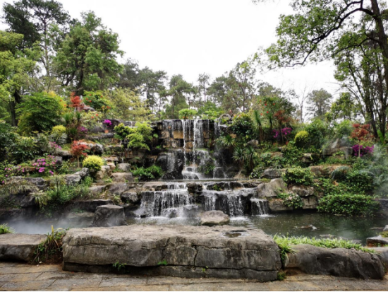 【雁山旅游】美图剧透,桂林植物园"石缝中的精灵---喀斯特花卉展"约您