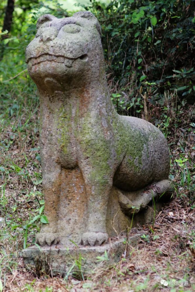 位于顺德龙江左滩西坑村二帝庙以北的大金山南坡大金山,古墓座南向北