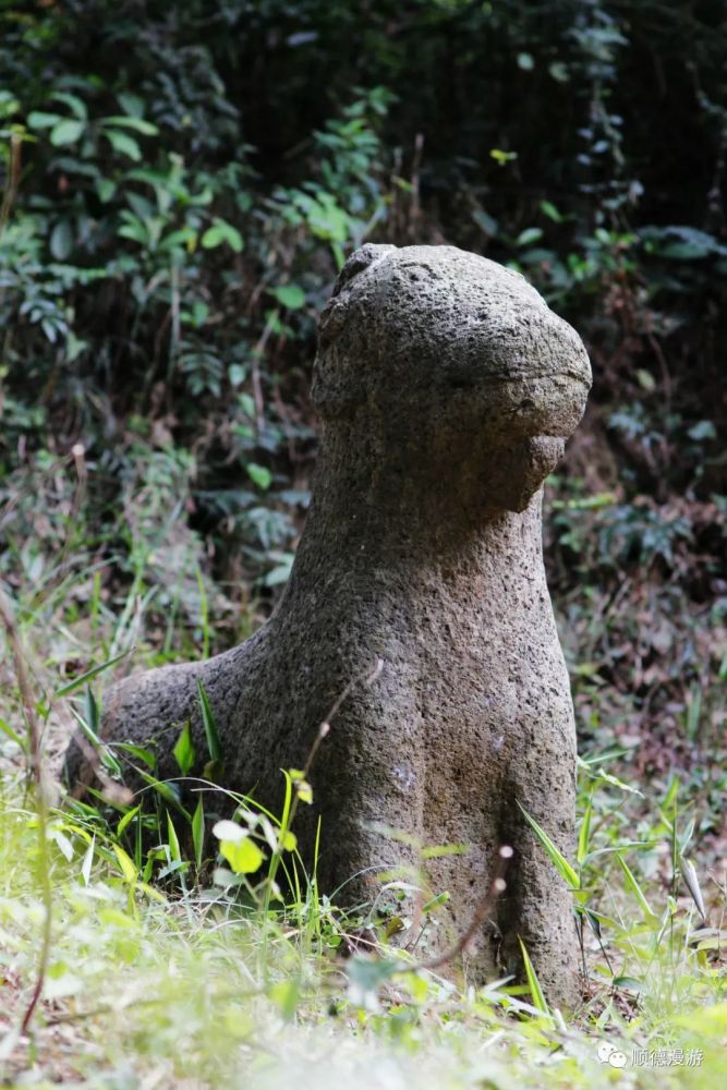 位于顺德龙江左滩西坑村二帝庙以北的大金山南坡大金山,古墓座南向北