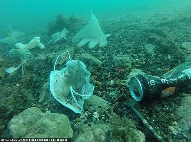 据悉,每年至少有1500万海洋生物死于塑料污染