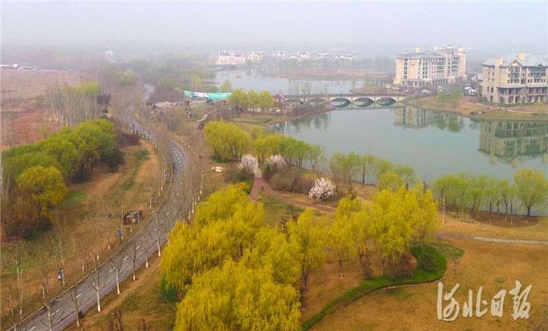 河北文安:打造绿色生态宜居之城
