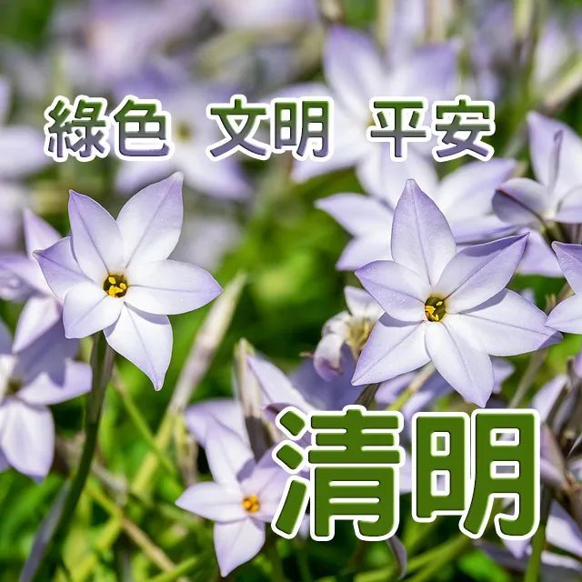 清明节寄语大全祝福清明时节的图片