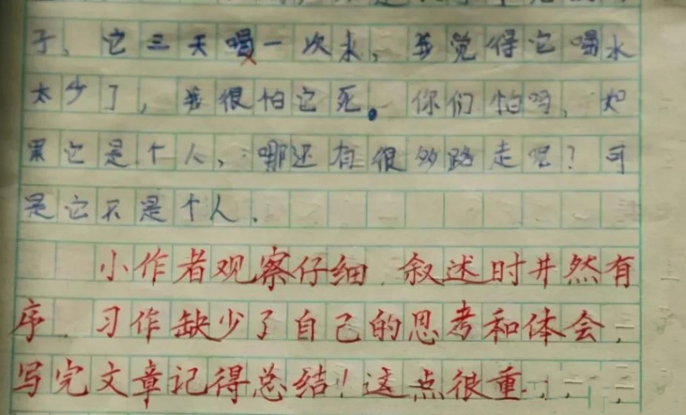 乡村教师的作文评语,不仅有温度有鼓励,而且字迹堪比"印刷体"