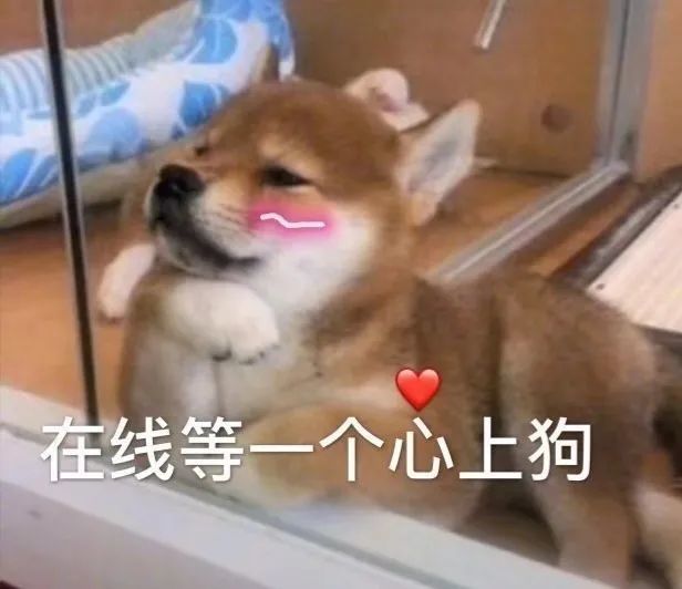 微信表情包|我看透了你这个渣男
