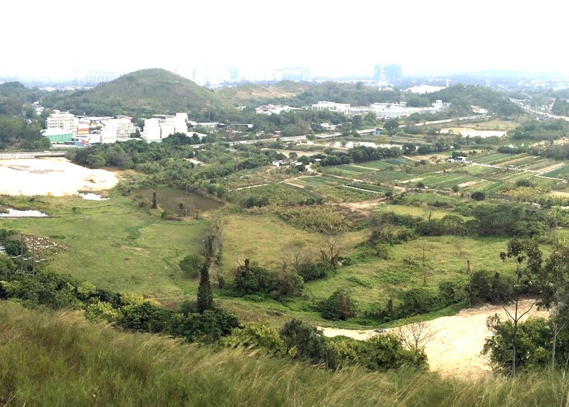 香港龛位贵到天价,要在深圳对面沙岭建坟场,网友不解因引热议