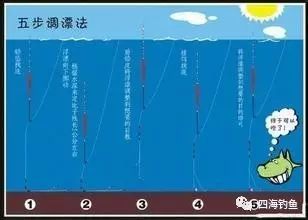 【钓鱼技巧】调漂的精髓在于钓目,不懂问题就大了!