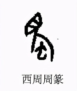 蜀是象形字,甲骨文中的"蜀"字,看着像一条生着大眼睛,卷尾巴的肉虫子