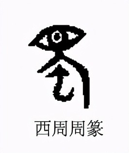 蜀是象形字,甲骨文中的"蜀"字,看着像一条生着大眼睛,卷尾巴的肉虫子