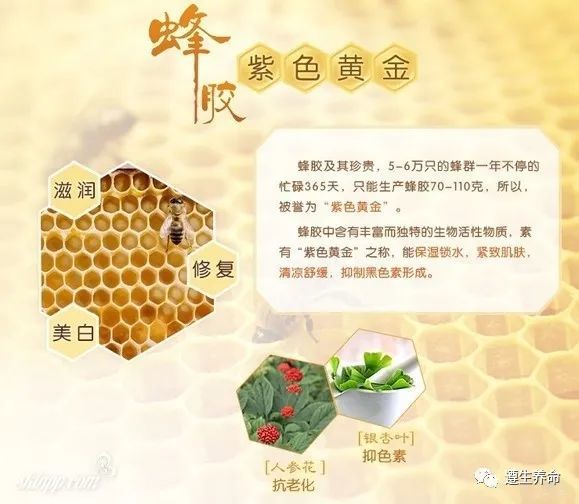 蜂胶的作用与功效蜂胶的药用价值
