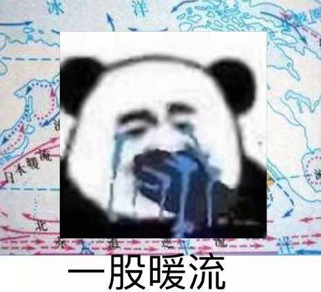 专属于文科生的表情包!