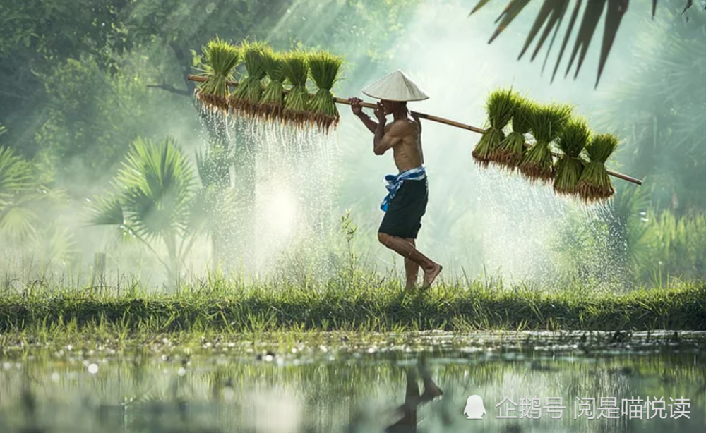 梦见给别人花生，播种希望与收获友谊的梦境解析