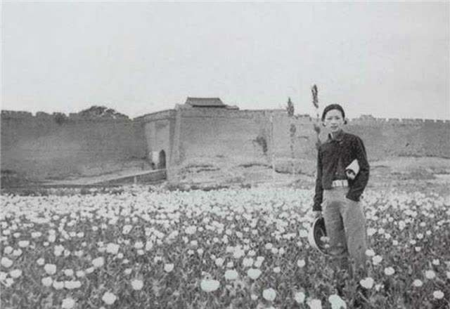 梁再冰:即使全世界的人都误会她,她仍然是我伟大的