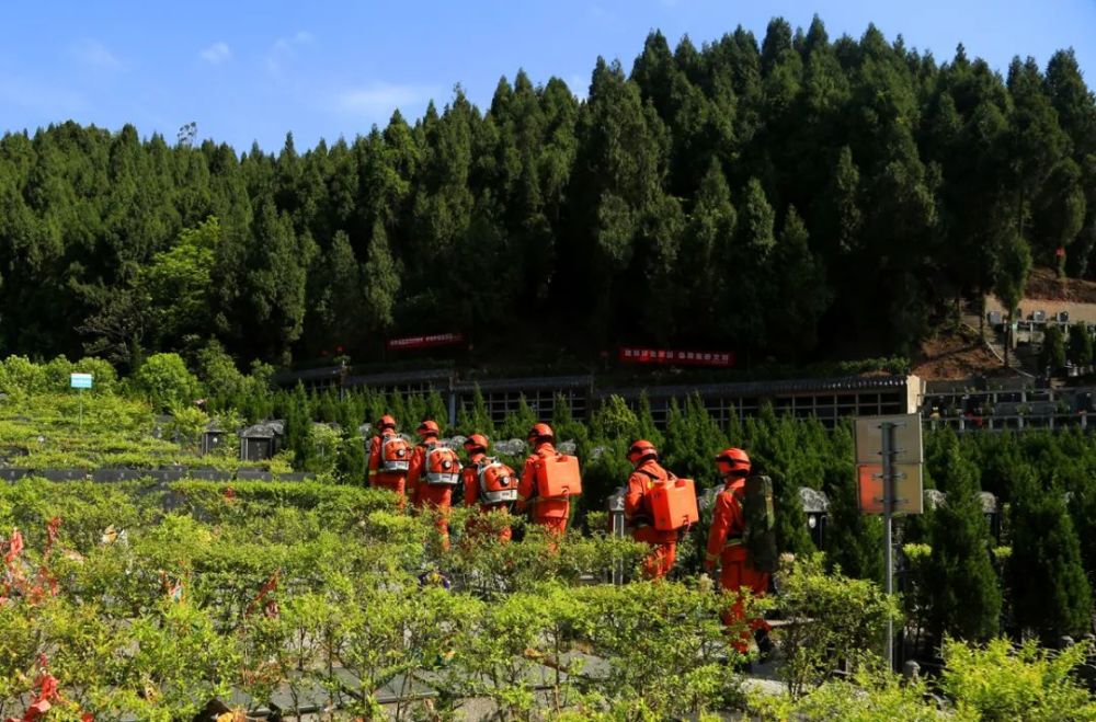 清明防火不放松|四川森林消防携装备加强巡护
