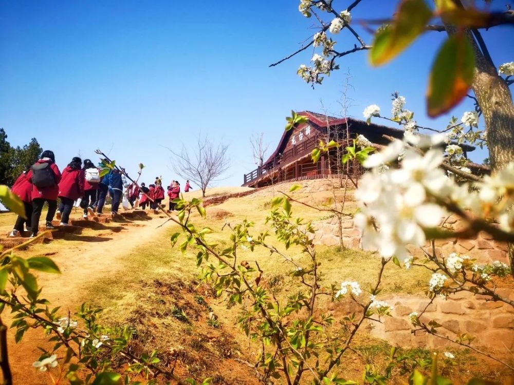 清明出行好时节,马陵山景区带你"踏春趣"