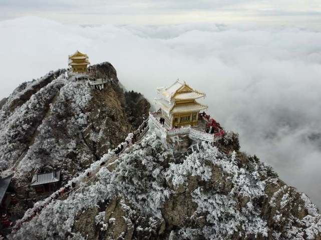 清明假期：老君山现四月飞雪一山两重天包揽“仙境花海”