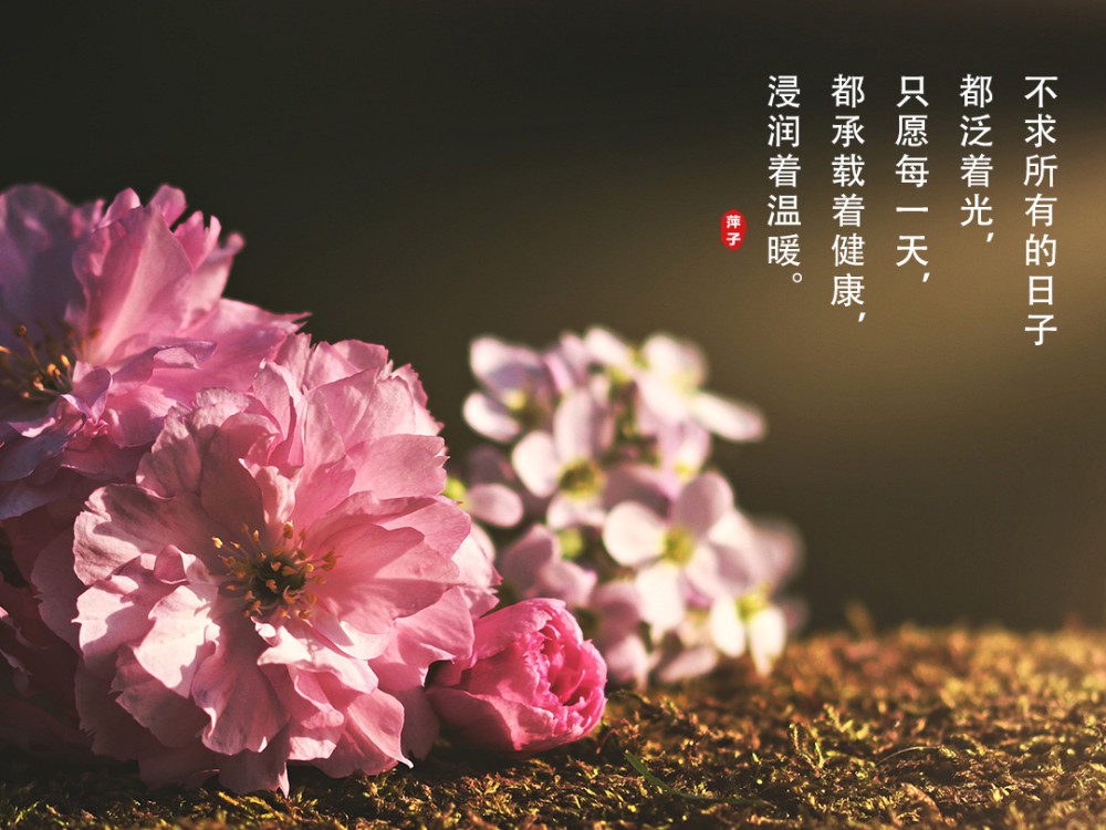 20句唯美的日常朋友圈文案,收藏起来以后慢慢发