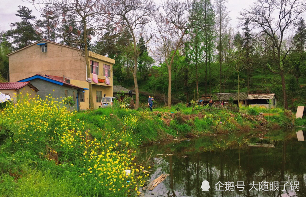 走遍神州 贯庄最冲!随州市曾都区何店镇贯庄村春日美景