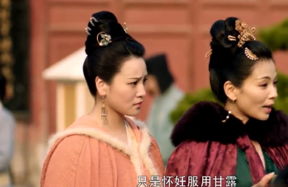 《大宋宫词》第35-36集预告:奶娘格局大?赵恒默许狸猫