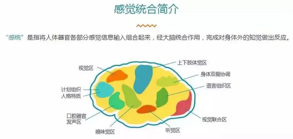 央视发声"感统失调",不要让家长的无知,贻误孩子终生
