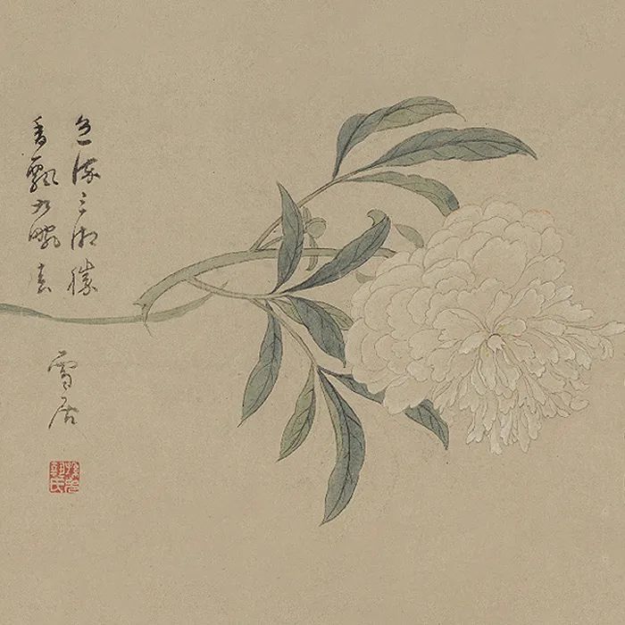 【故宫】2021年04月05日,明·孙克弘百花图卷