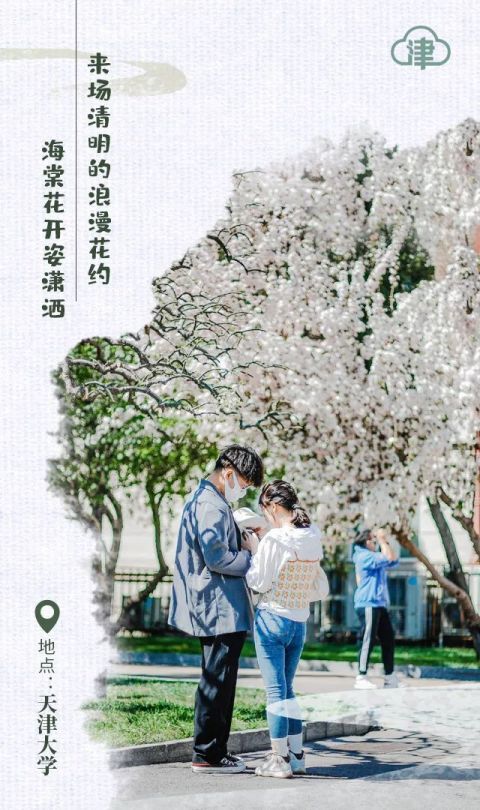 牡丹江中绿网络老总