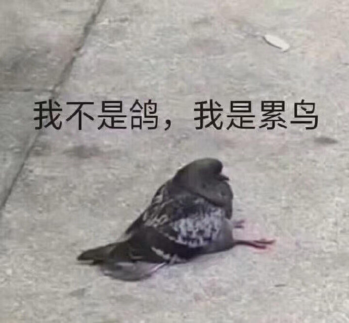 表情包:都是兄弟我怎么会鸽你呢