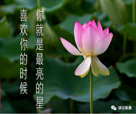 小孩外八字怎么矯正_小孩走路內(nèi)八字怎么辦_小孩八字扎根歌