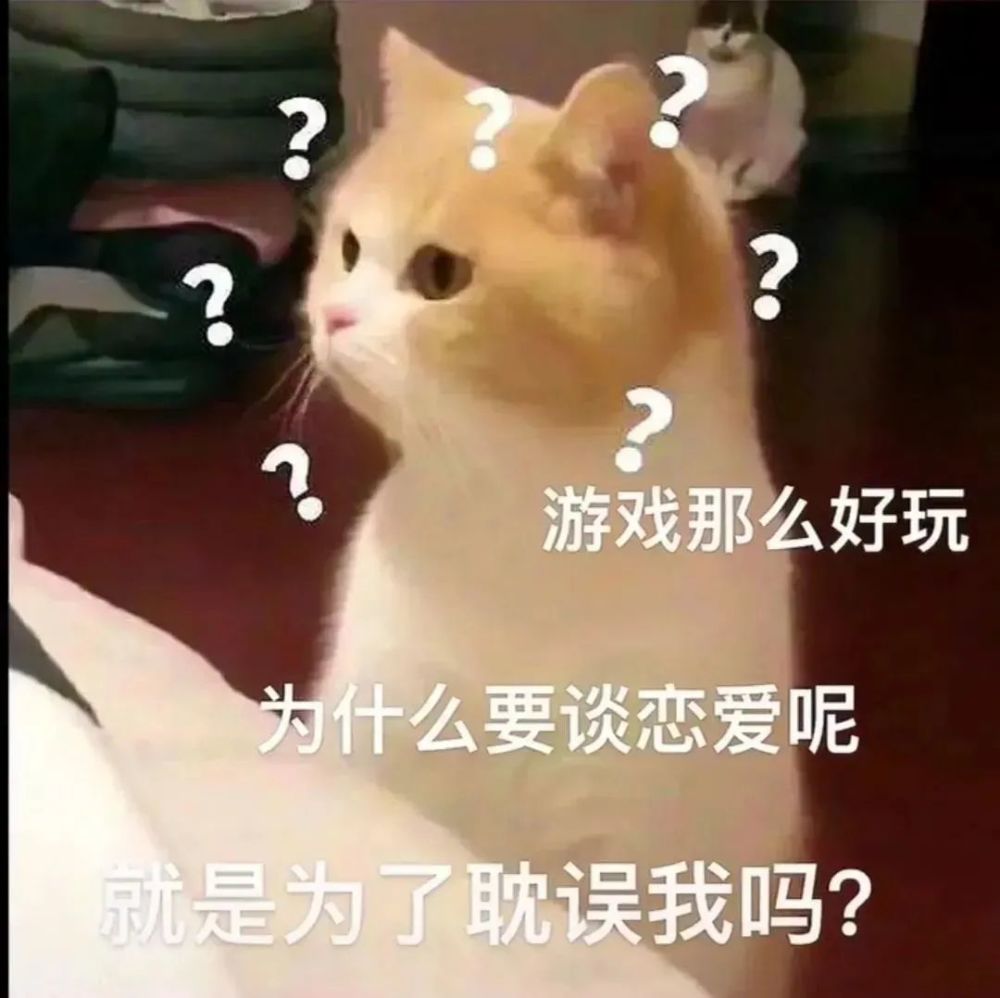 哈哈哈哈哈哈哈哈哈,笑到模糊了!