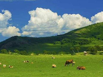 "赤峰巴林左旗"乌兰坝,自然风景,打卡地