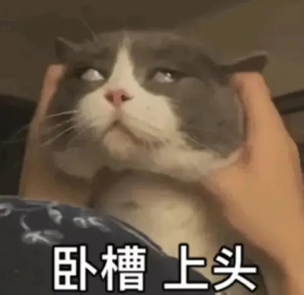 沙雕表情包:快理我快理我!