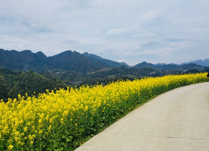 上游夜雨丨三都河:一座小山