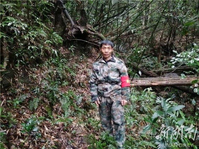 全国"最美生态护林员"吴树养丨"只有加倍爱树护树,才对得起自己的名字