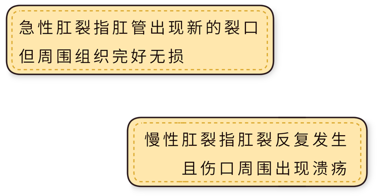 肛裂是一种怎样的体验?医生劝告:5个行为可引起,要悠着点