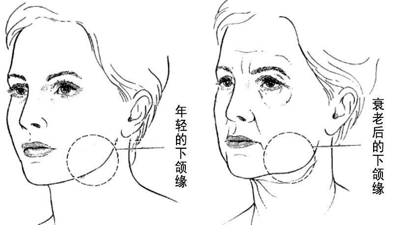 下颌线决定好看程度,你的侧脸能打几分?