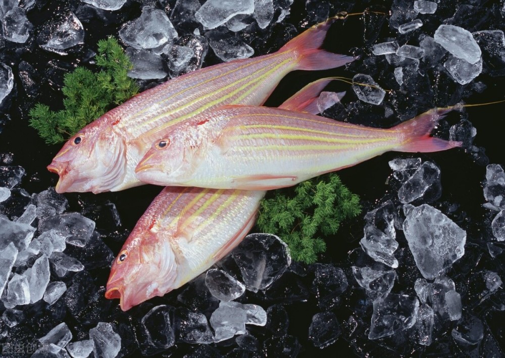 这5种海鱼,全都是野生捕捞,到海鲜市场放心买,味道鲜美又好吃