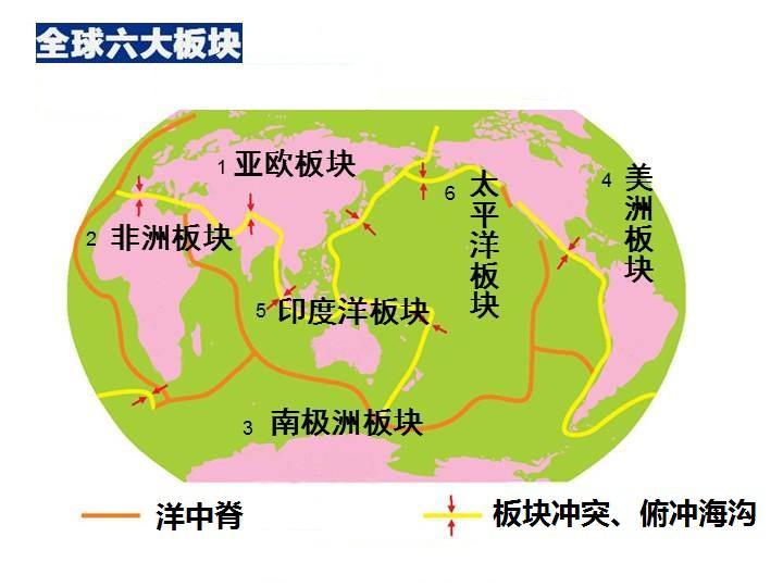 生物的秘密 板块运动对生物的塑造