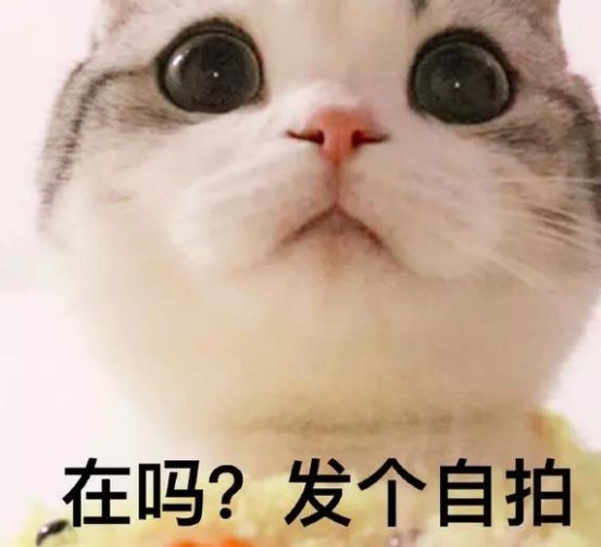 1.风不动,云不动,只是恰恰心动了.
