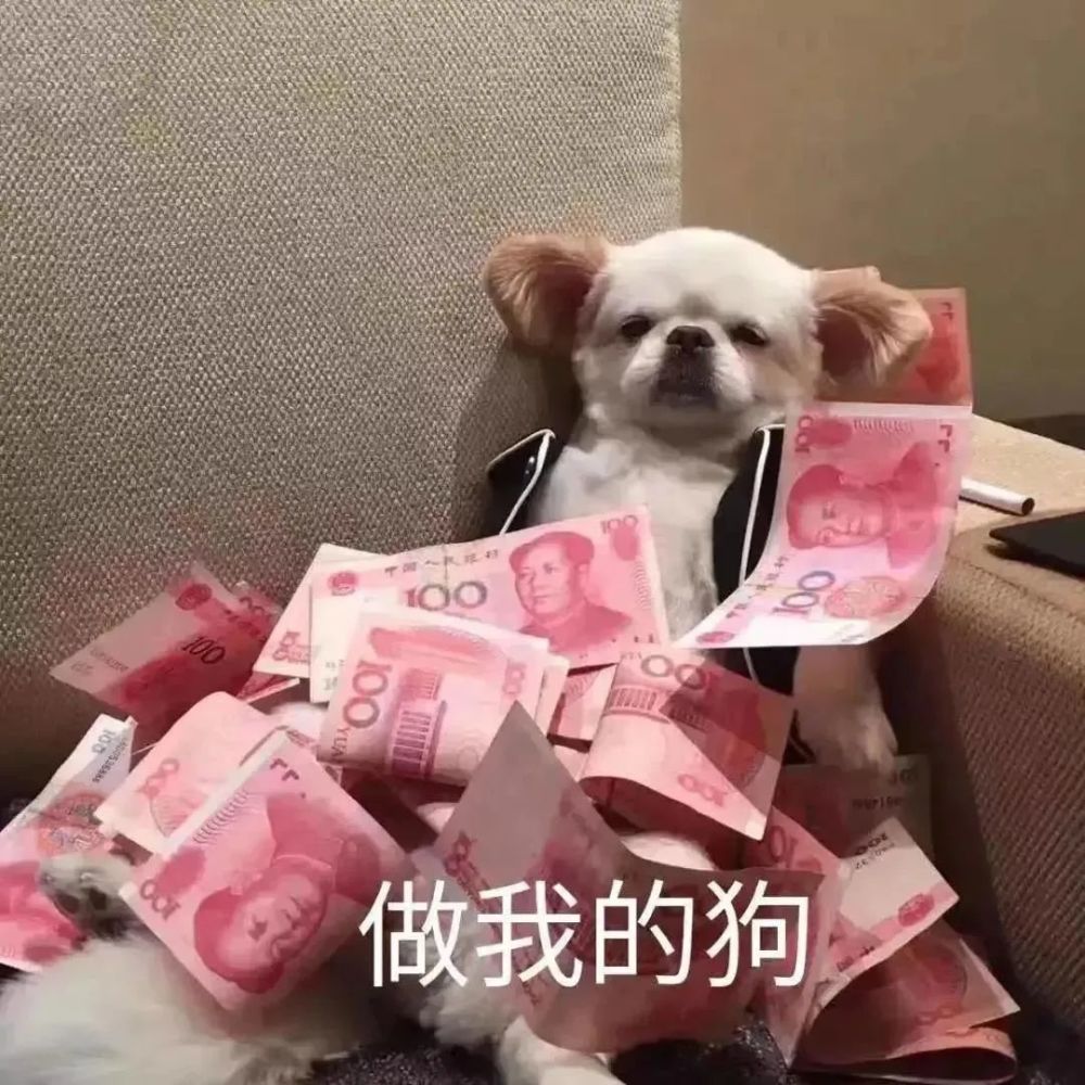 表情包:兜风吗妹妹