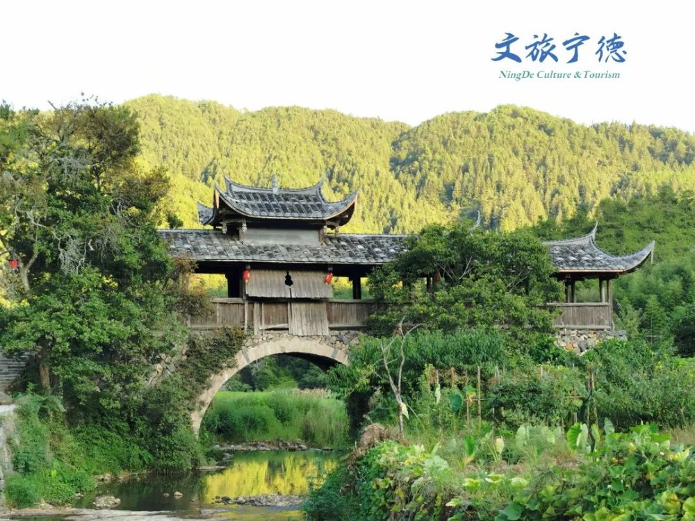 62万人次!清明小长假,宁德最受欢迎的旅游打卡点是