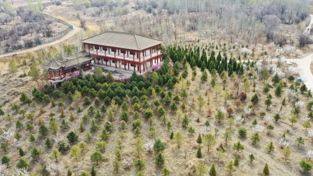 庙庙湖生态旅游区在完成最初的防风治沙,生态绿化基础上,大力发展