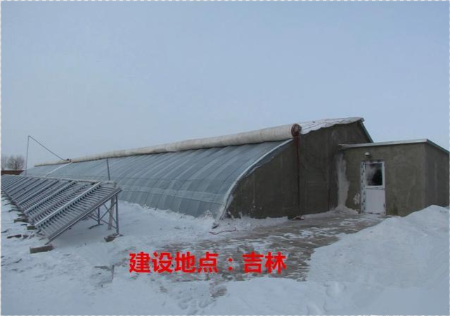 东北地区|蔬菜大棚|日光温室|温室